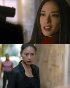 Sự nghiệp của Ngô Thanh Vân